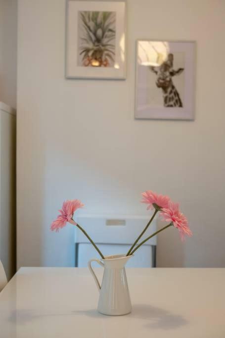 Galway City Cottage Ngoại thất bức ảnh